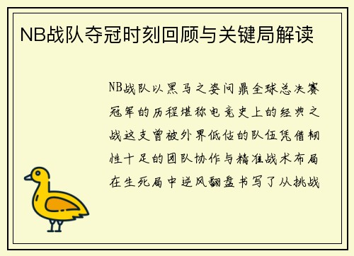 NB战队夺冠时刻回顾与关键局解读